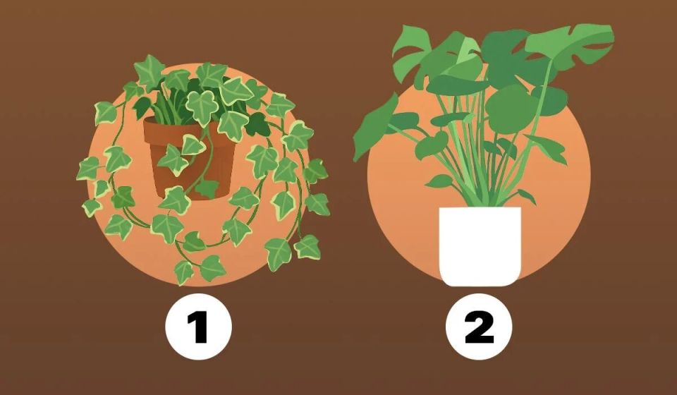 ��� �� ���������� � ����� �������: ������� ����� ���� ������� ���� �� ��������