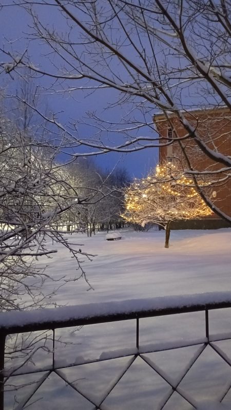 ��� ���� �� ������ �������: ������� ���������� � �������� �������