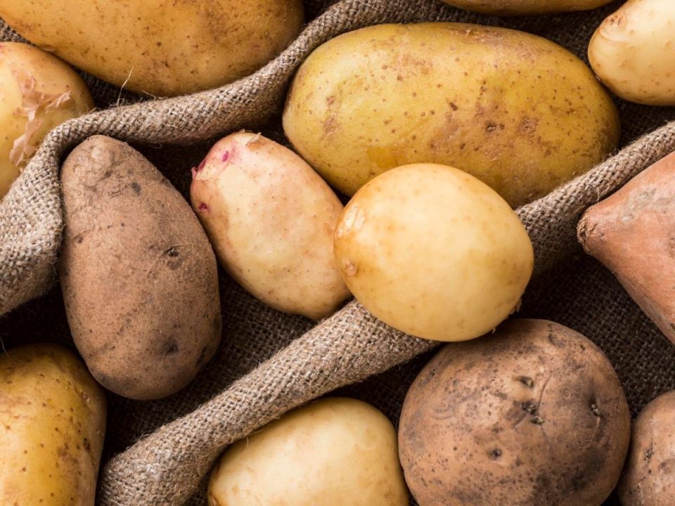Как предотвратить гниение картофеля: советы дачникам
