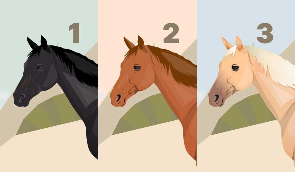 Как выбор лошади определяет ваш путь: тест для самопознания