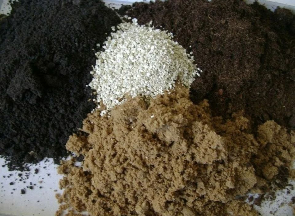 ��� ��������� ������� �������: ������� ���������� ������