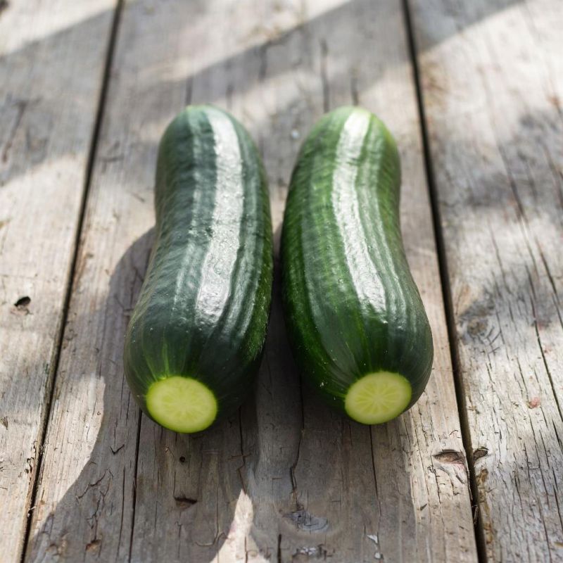 ������� ��������� ��������: ����� ��� ����� � ��� ������ ���������