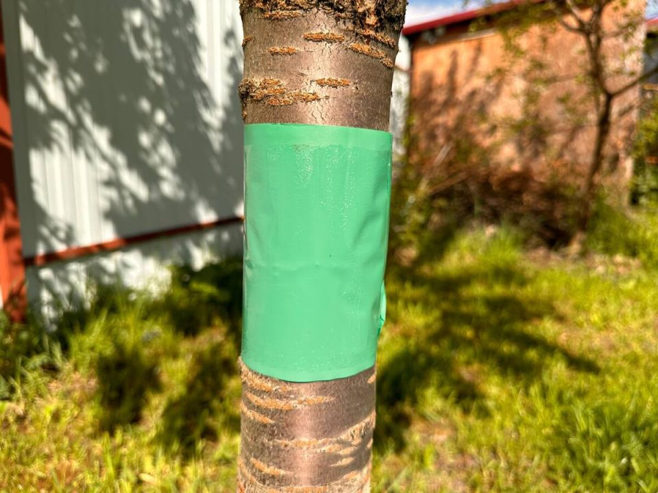 ������� � ����: ������� ��������� ������ ������ ��� �����