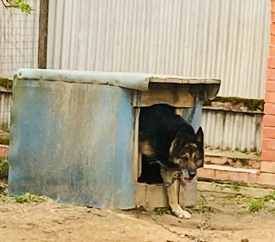 ���� �� ����: ��� ������� ���������� ������ ��� ������ ������������� �����