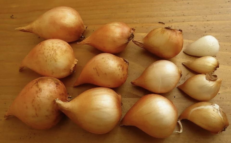 ����������� ���������: ��� �������� � ������� � �������� ������������ �����