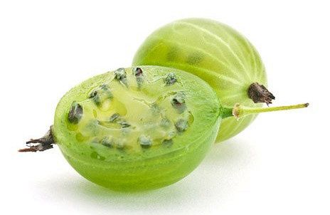 ���������� ����������� ���� ��� �������: ����� ������ �� ���������