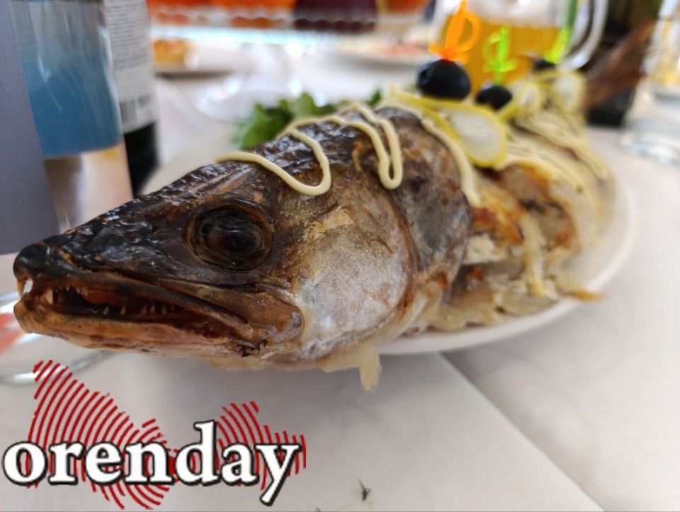 �������� ����� ��������� ���� ������: ������������ �� ����������� ����