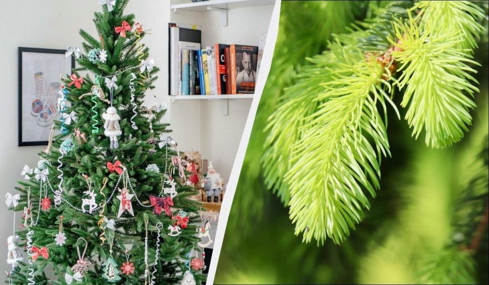 ��� ���������� ���������� ���� � ������ ���������: 3 ���������� �������