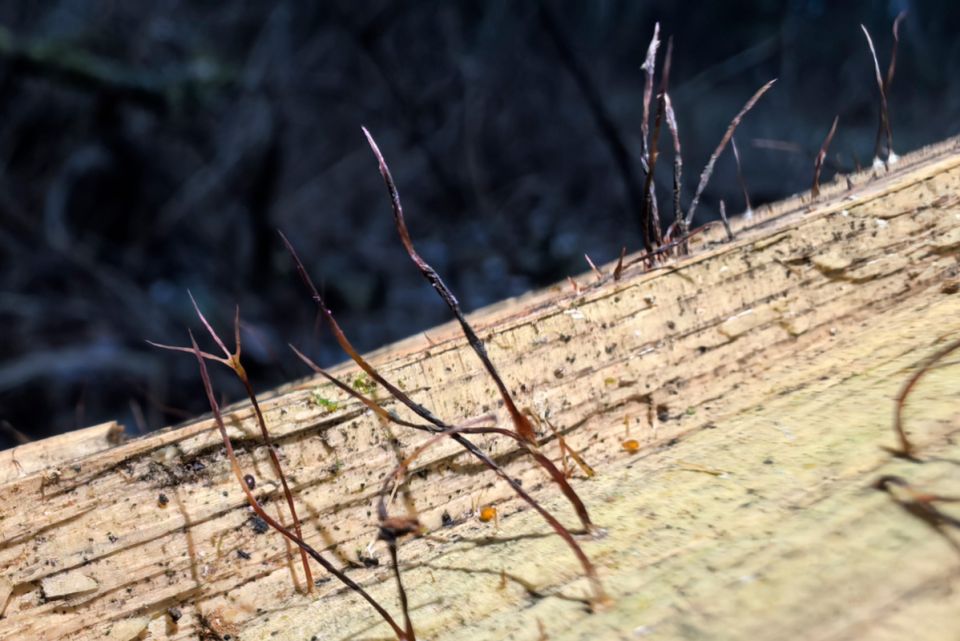 ����� ���� � �������� ���� � ��� �������� � ����������� ����