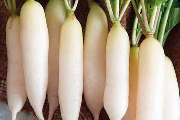 ����� ������� ������: �������� ����������� � ������ �� �����