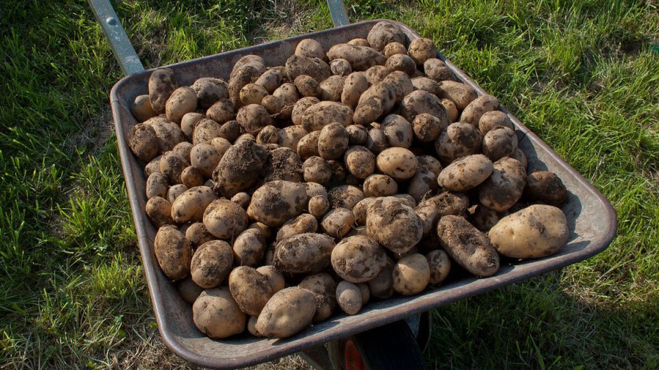 ��� ������� ��������� ��������� ��� ���������: ������ ���������