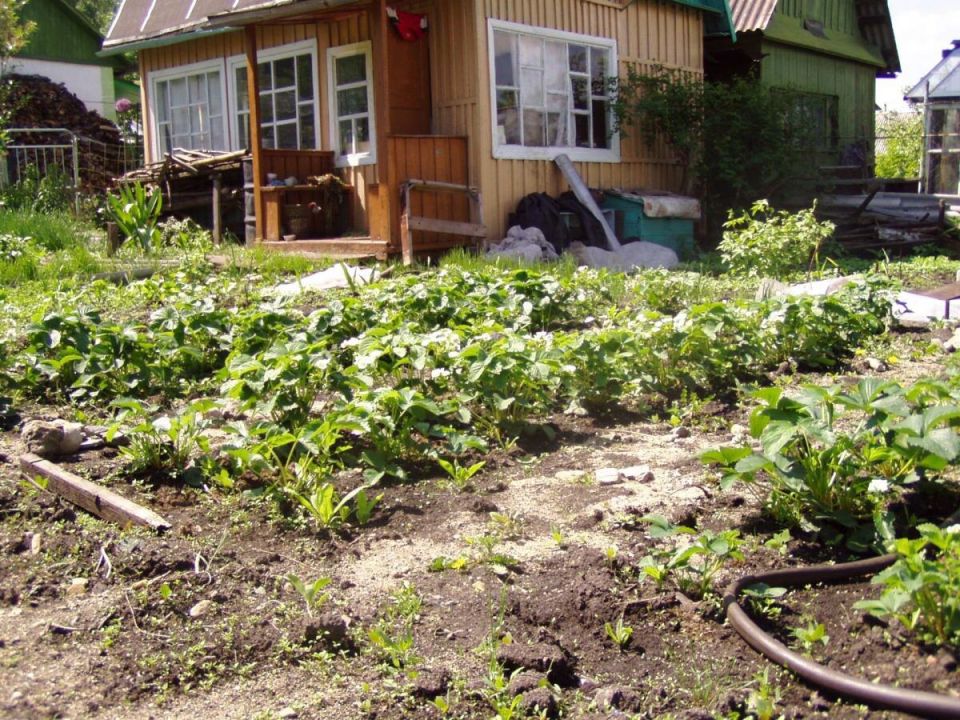 ��� ���������� � ����������: ������ �� ������ � �����������