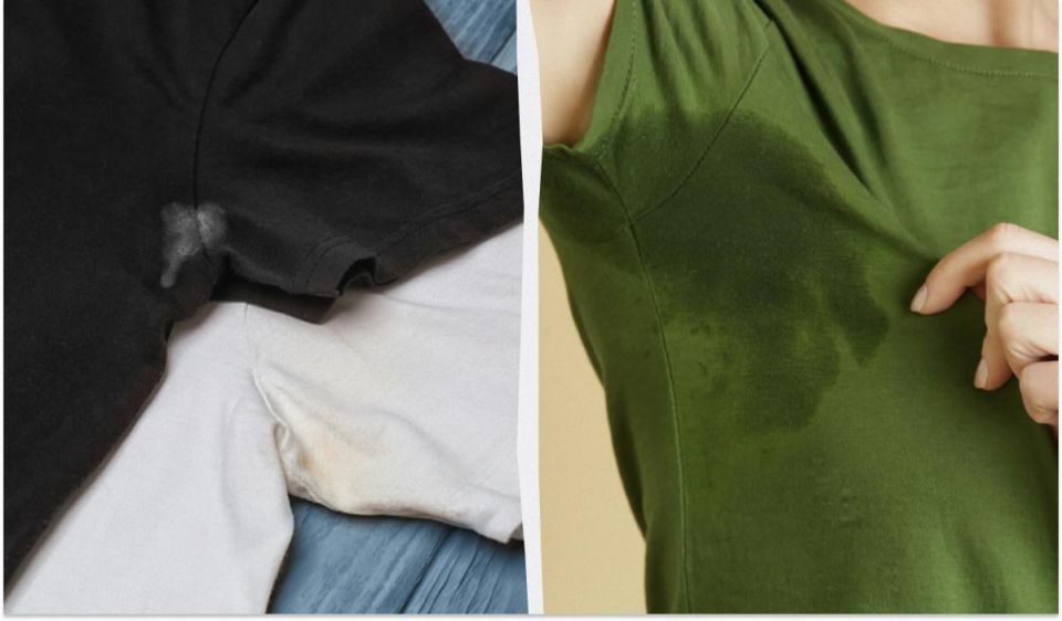 ��� ����� ���������� �� ����� �����������: ������ � ��������