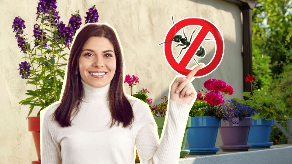 ������� � ������ ������ �� ��������: ��� ��������� �������� ������� ����� � �������