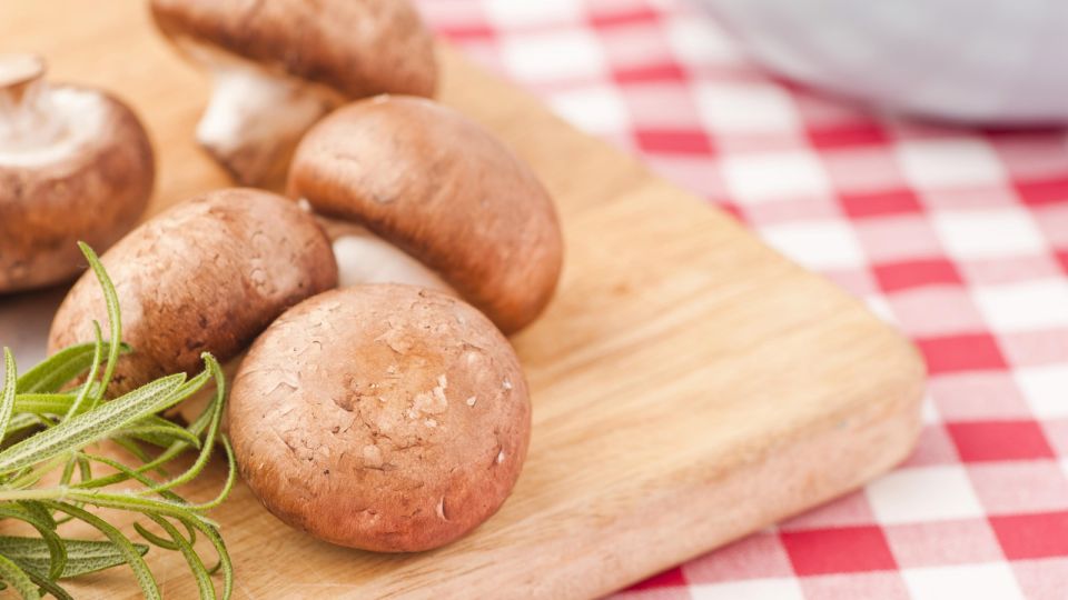 ����� ����� ��������: ������ ������ ������� ���������� �� ���� �����