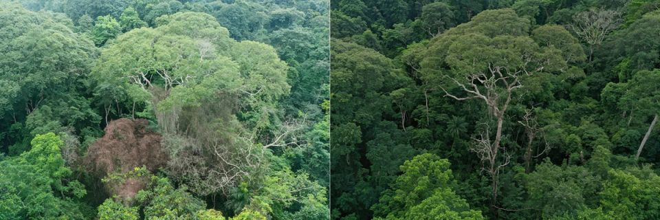 ������, ��������� �������, �� ��������� ���������� ���