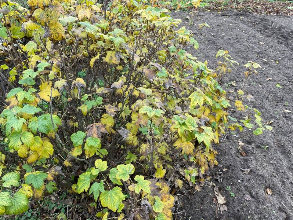 ��� ����� �������� � ��������� � ����� �������� � �� �������� ���� �����