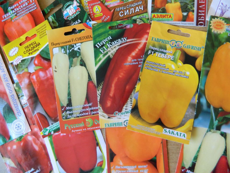 ����� �������� ����� � �� ���������