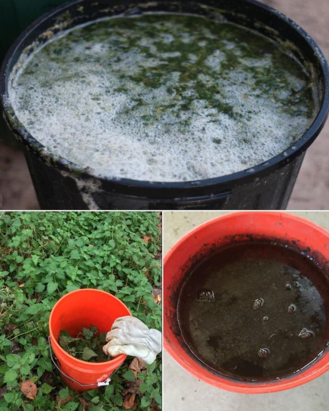 ��������� ��������� � �����������: ��������� �������� ����