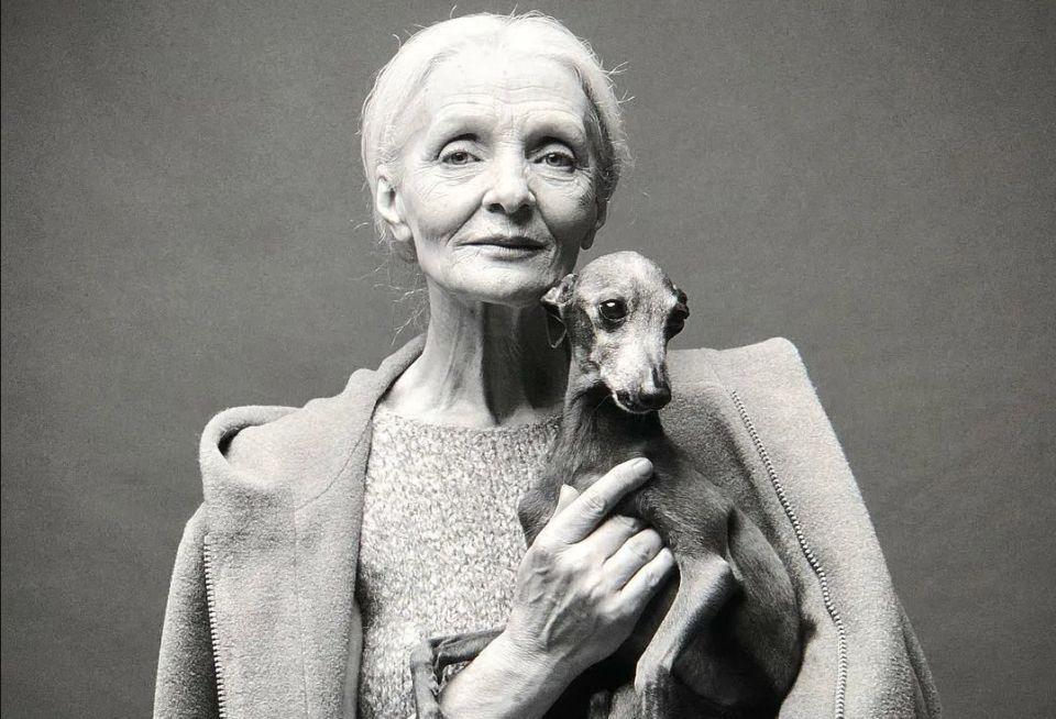 13 ���������, ��� ����������������� ����� ������� �� ����� ��������