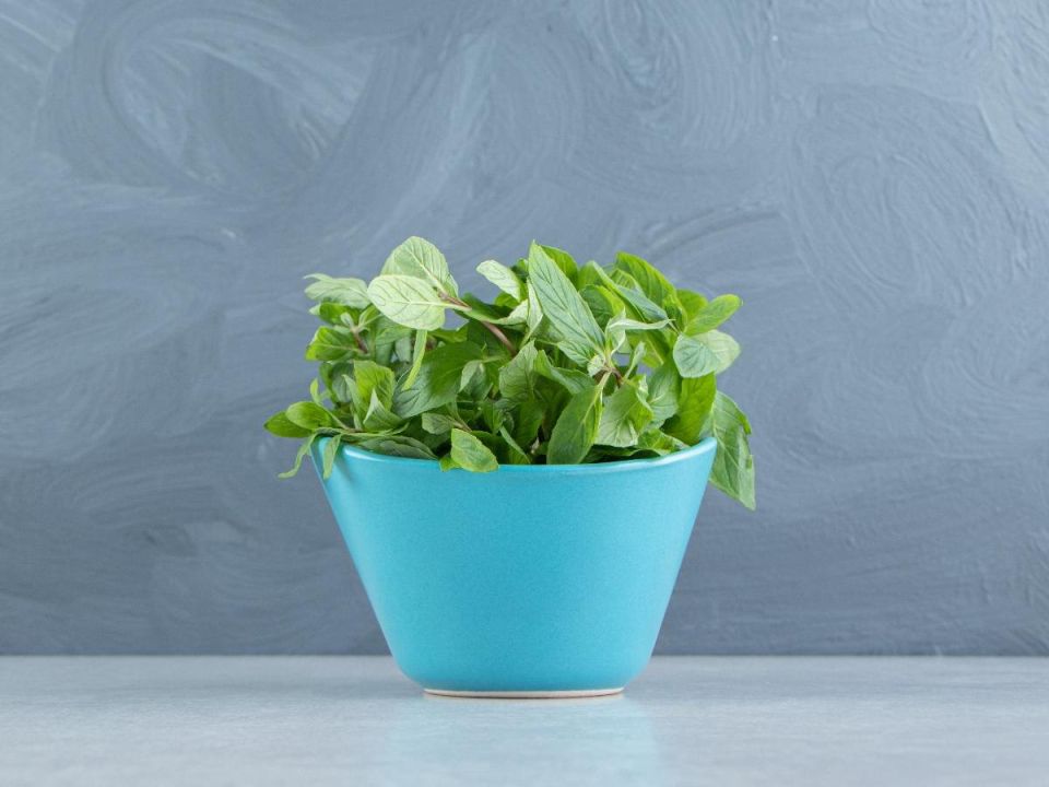 ���� � ����: ��� �������� ���������� � ������������ � �� ������