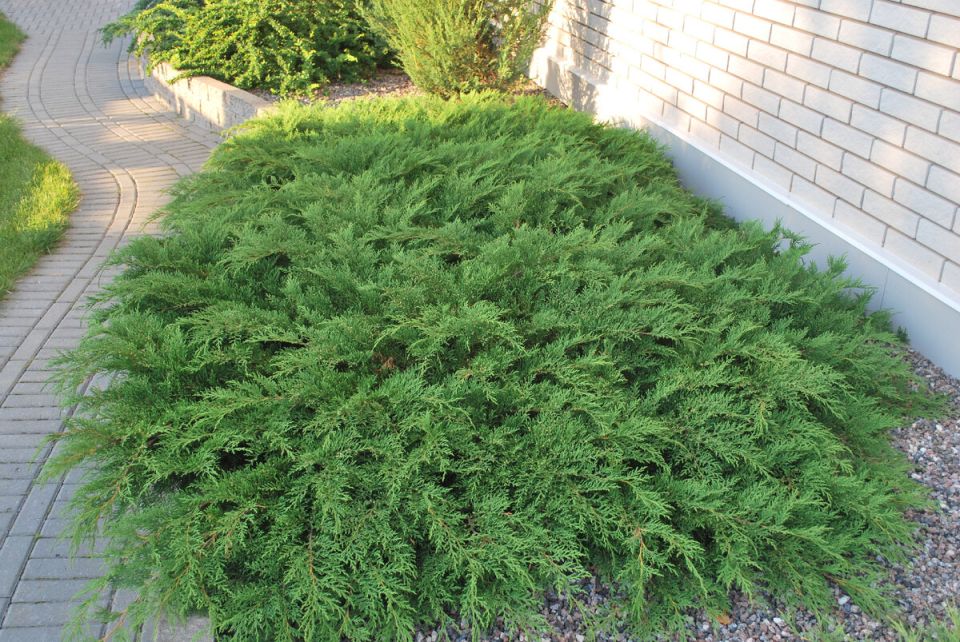 ����������: ��������� ������� ��������� ��� ��������� ���������