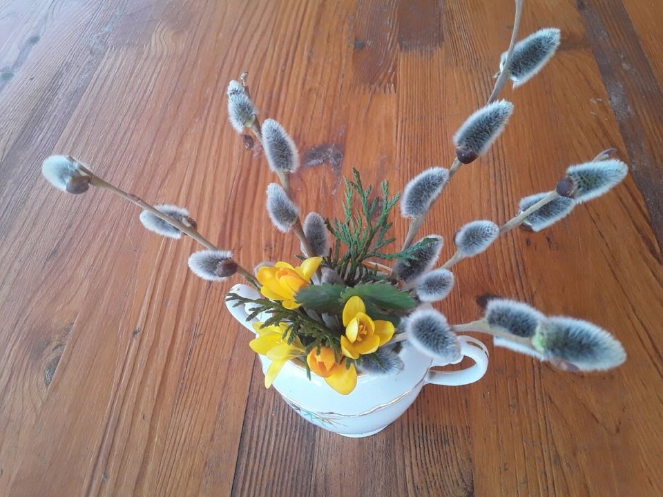 ��� ���������� ��� ��� � ������ �������� �����������: ������� ��������� �������