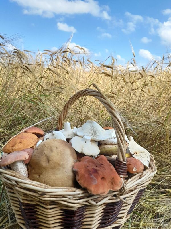 ������ ����� � ������� ����� ���������� ��������� �������� ���������?