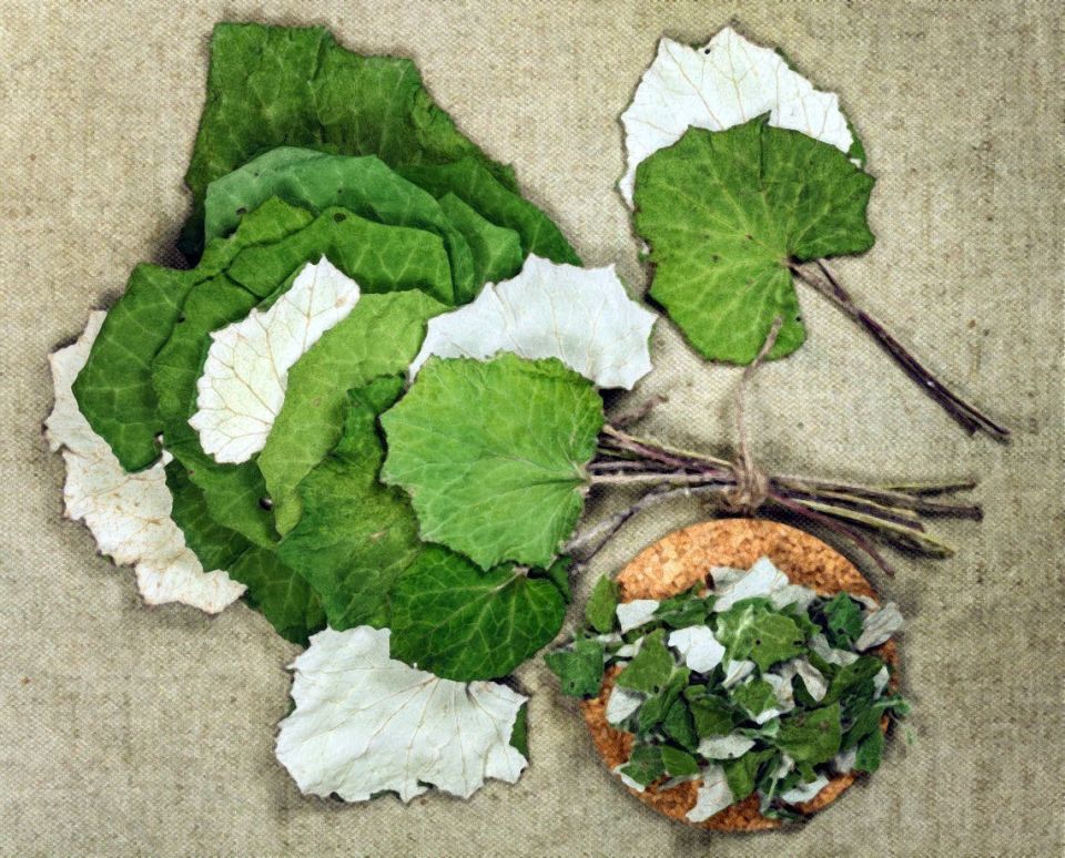 ����-�-������: ������� ������ �� ����� � �������� ������� � ����������� ��������