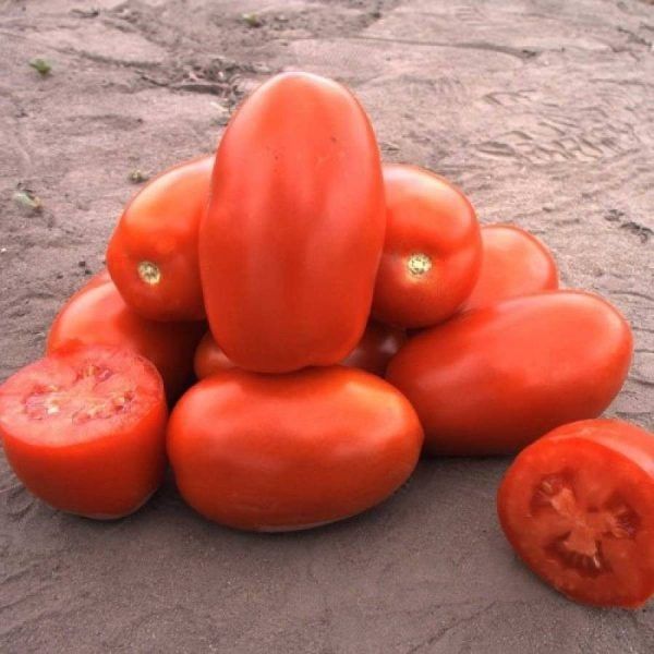 ����� �������: ������������� ����� � ��������������� �������