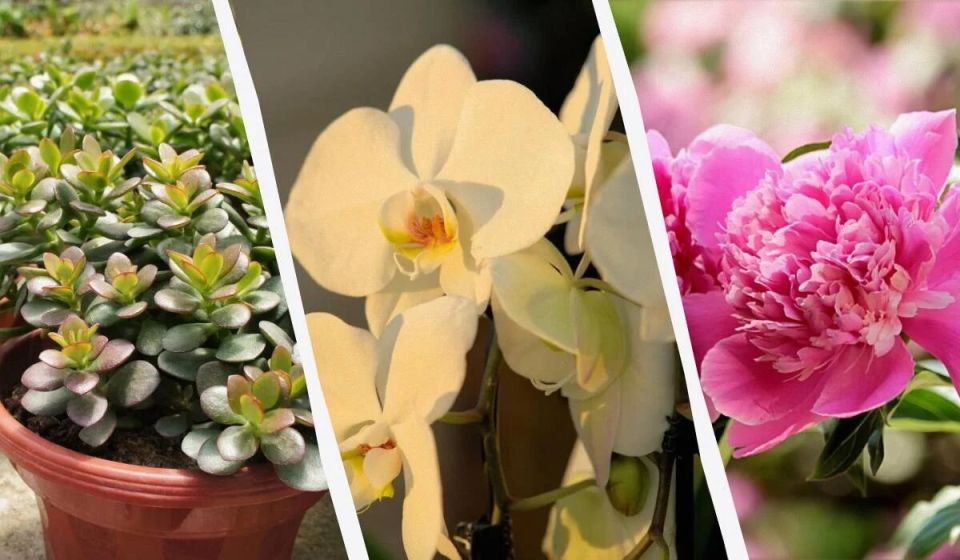 14 ��������, ������� �������� ����� � ?? � ��� ���