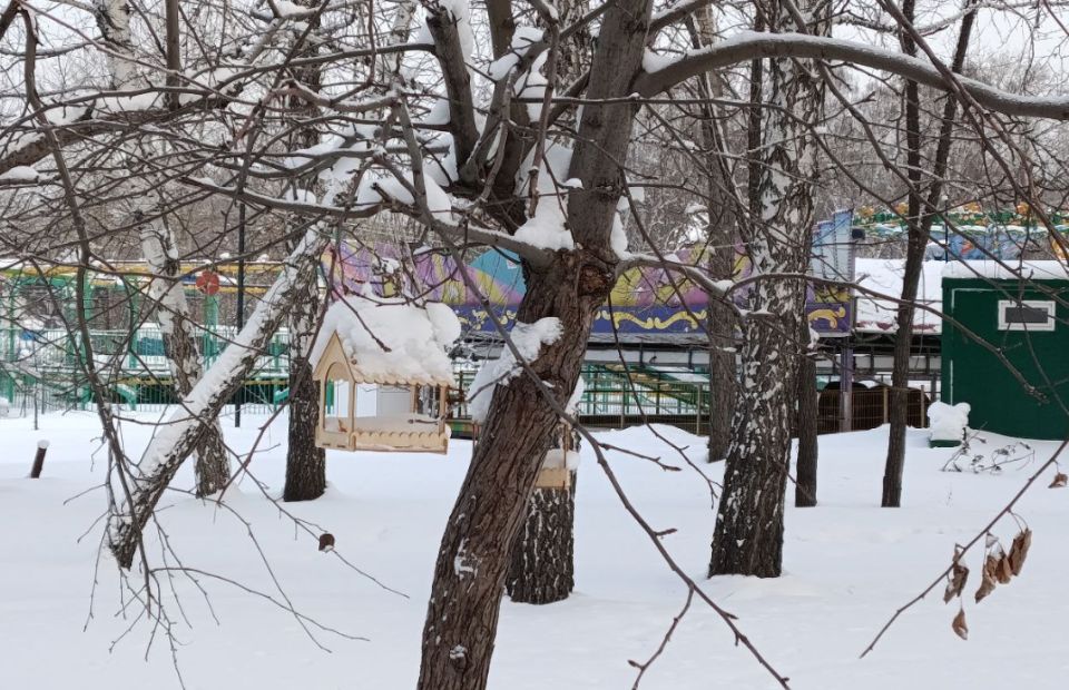 ����� ������� ������ � ������� 2026 ����