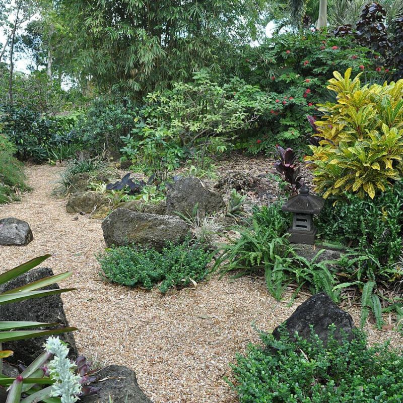 ��� �������� ������� � ����������: ��� ������� ����� ��� ������ ����