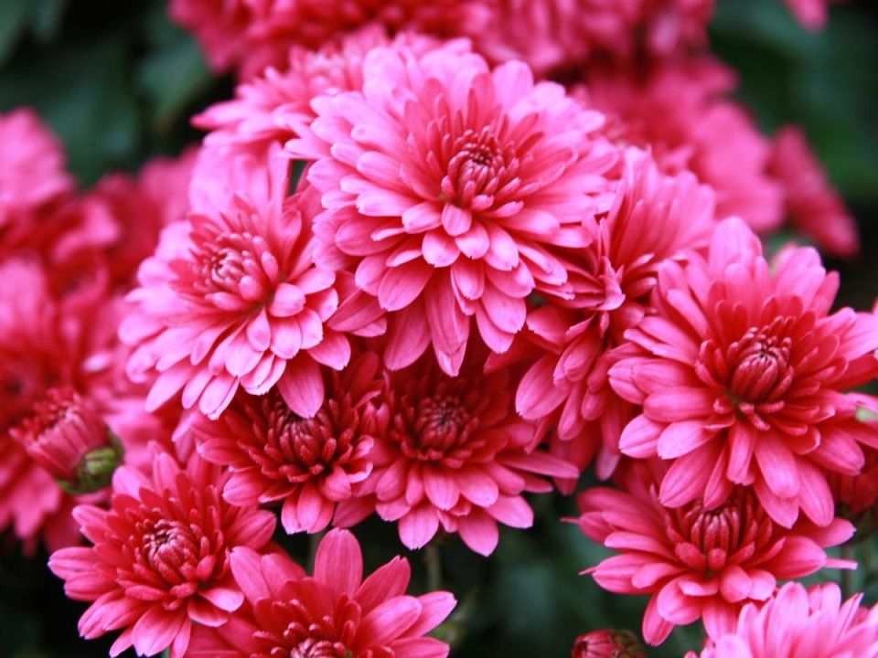 ������� �����: �������, ���������� ��������� ������