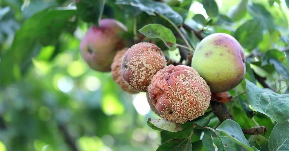 ��������: ��� �������� ��� �� ���������� �������� �����