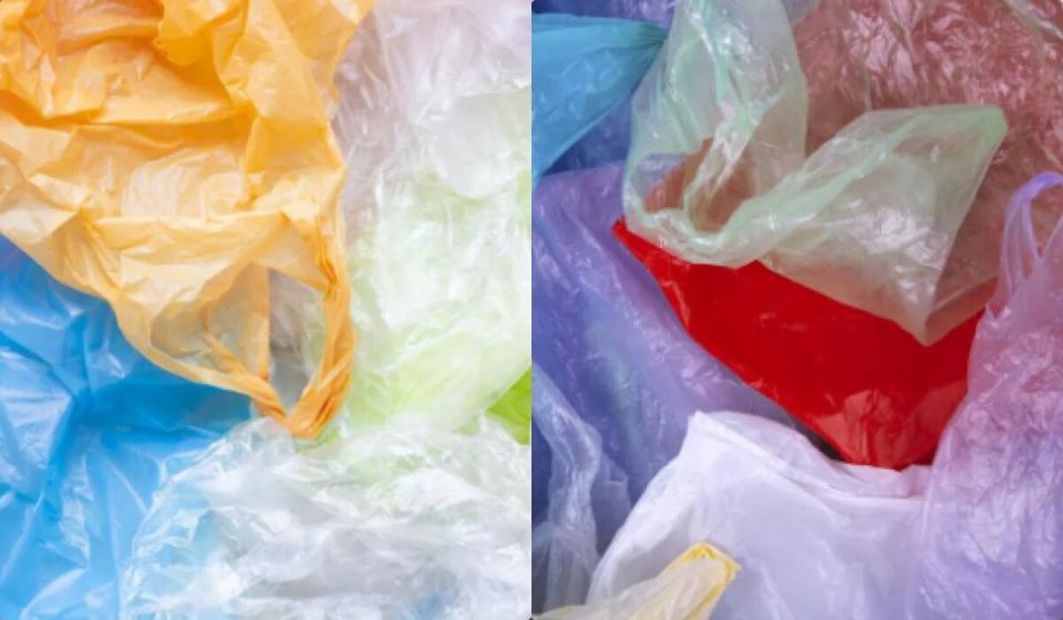 ����� �������� ������� �� �����: ������� ������ ��� ������ �������