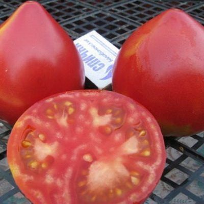 Томат «Перуанский домашний»: экзотическая жемчужина для садоводов и гурманов