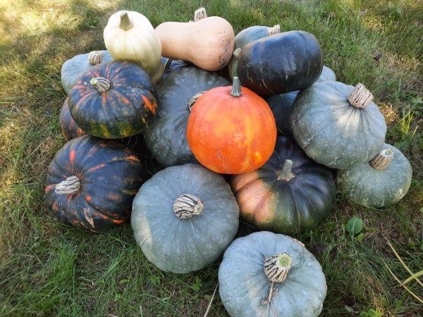 ��������� �����: ��� ��������� �������� � ������� ������?