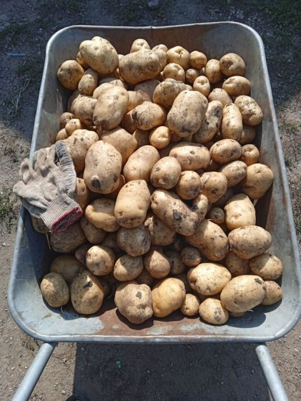 ��� �������� �������� ���������: ������� ��������� ������