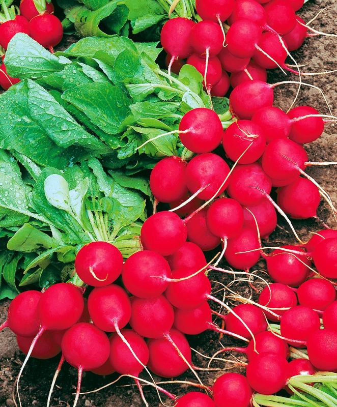 ��� ������� ��������� ����� � �������� ������