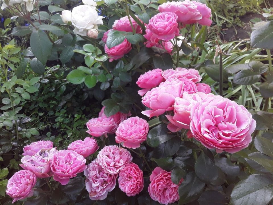 �������� ���: ���� � �� ����� ������ � ����