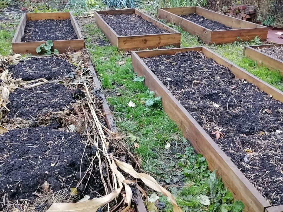 �������� �� ����� �������: ������ ������� ������� ������