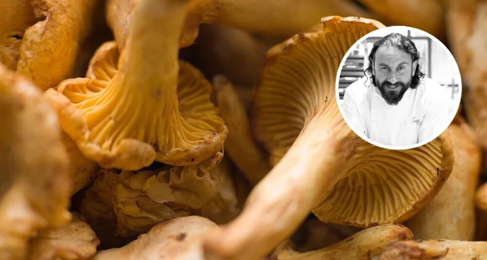 ��� ��������� ������ �������: ������� �� ���-������