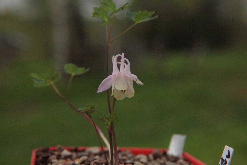 ���������� ���������: ���������� ����� ��� ������ ����