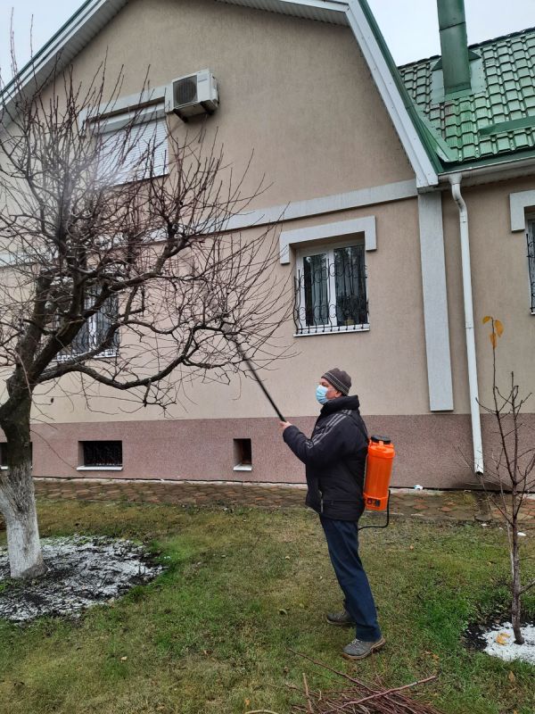 ����� �������� ������ � ����������� �� �������, ������ � �����: ������ ���������