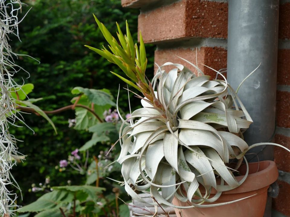 ��� �������� �������� ����������: ������ � �����