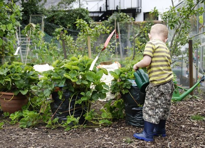 Как вдохновить детей на работу на даче