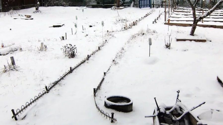 ������������ ������������ �������: 7 ���� � �������� ���������������