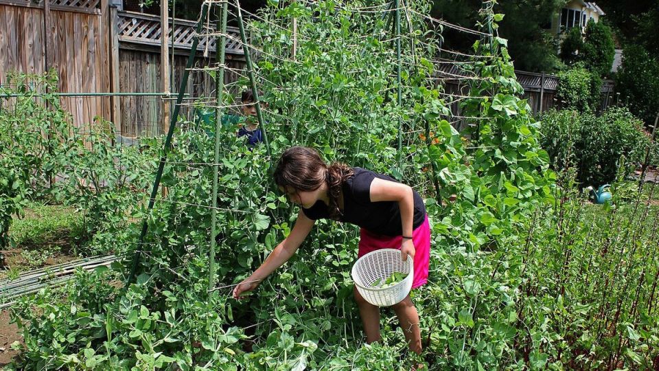 ��� �������� ������� �� ��������� �� ���� � ����� �������