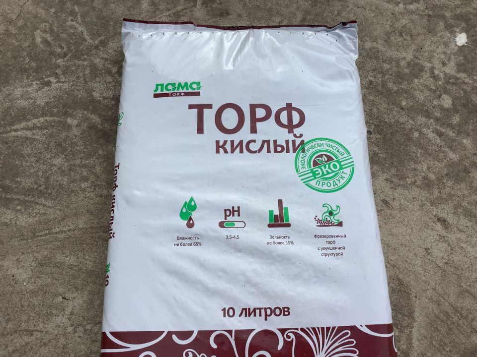 Торф на грядках: как превратить обычную землю в плодородную